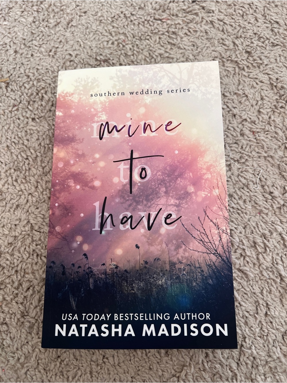 Mine to have hello lovely edition book by Natasha Madison